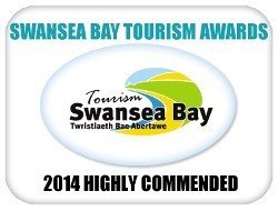 Swansea Bay Tourism Award: Highly Commended - Best Attraction (2014)